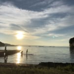 Swim with wild dolphins! - Dolphin Smile in Notojima, Ishikawa Prefecture -